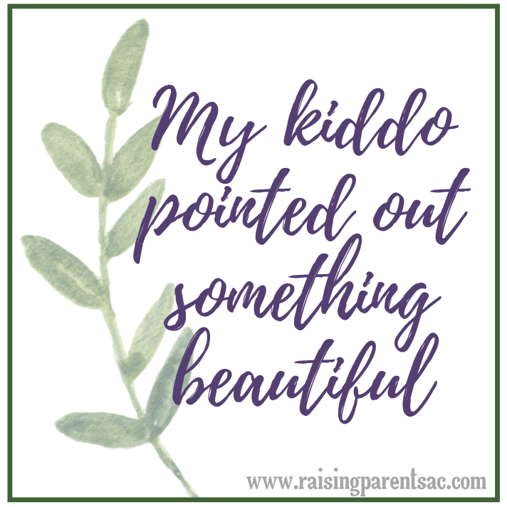 my kiddo pointed out something beautiful