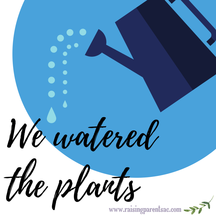 Water the plants